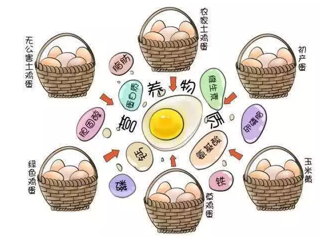 遍尋菜譜收集的雞蛋7中新吃法，第2中最好，第7中最營養(yǎng)